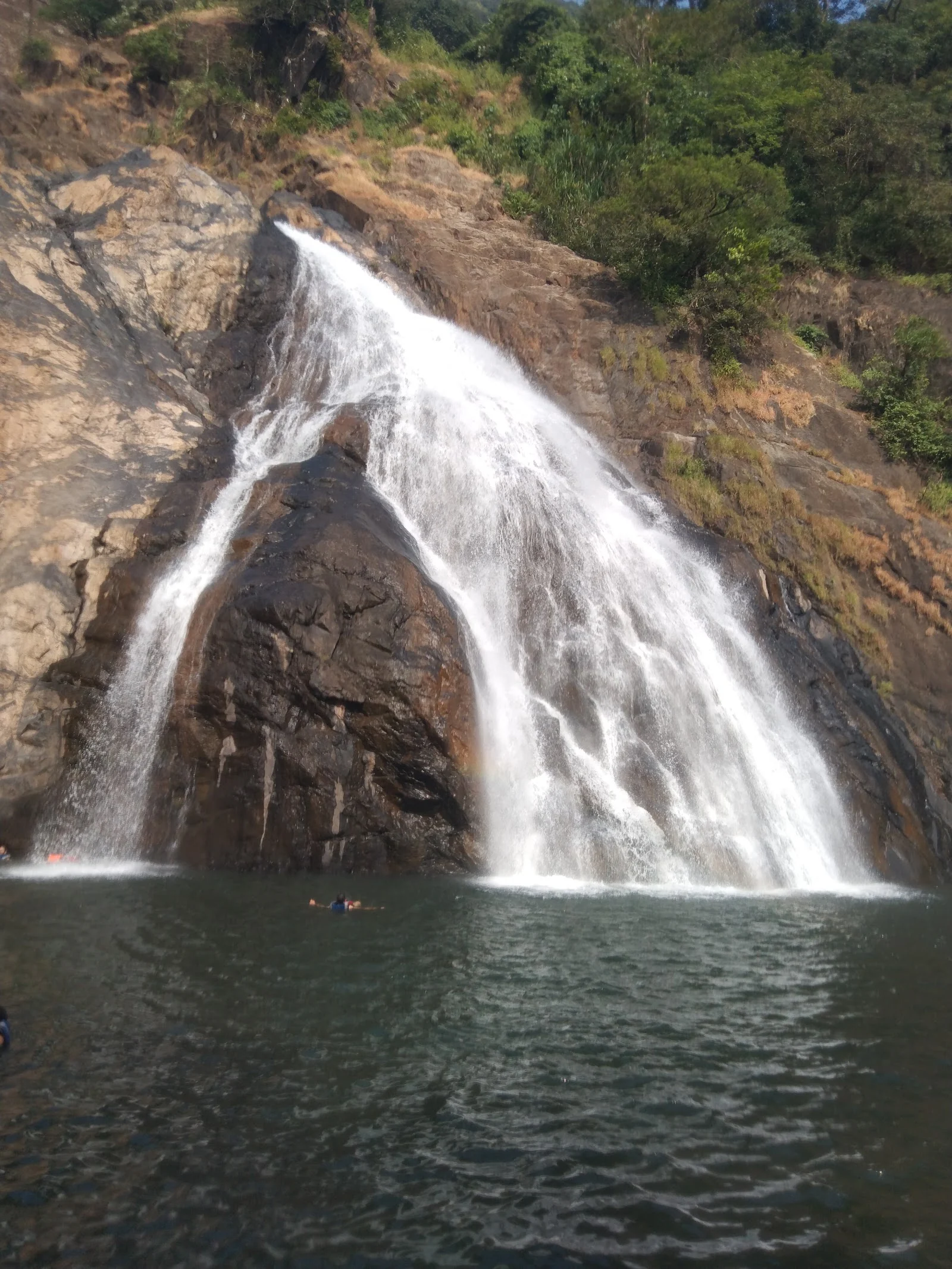 Goa gallery 3
