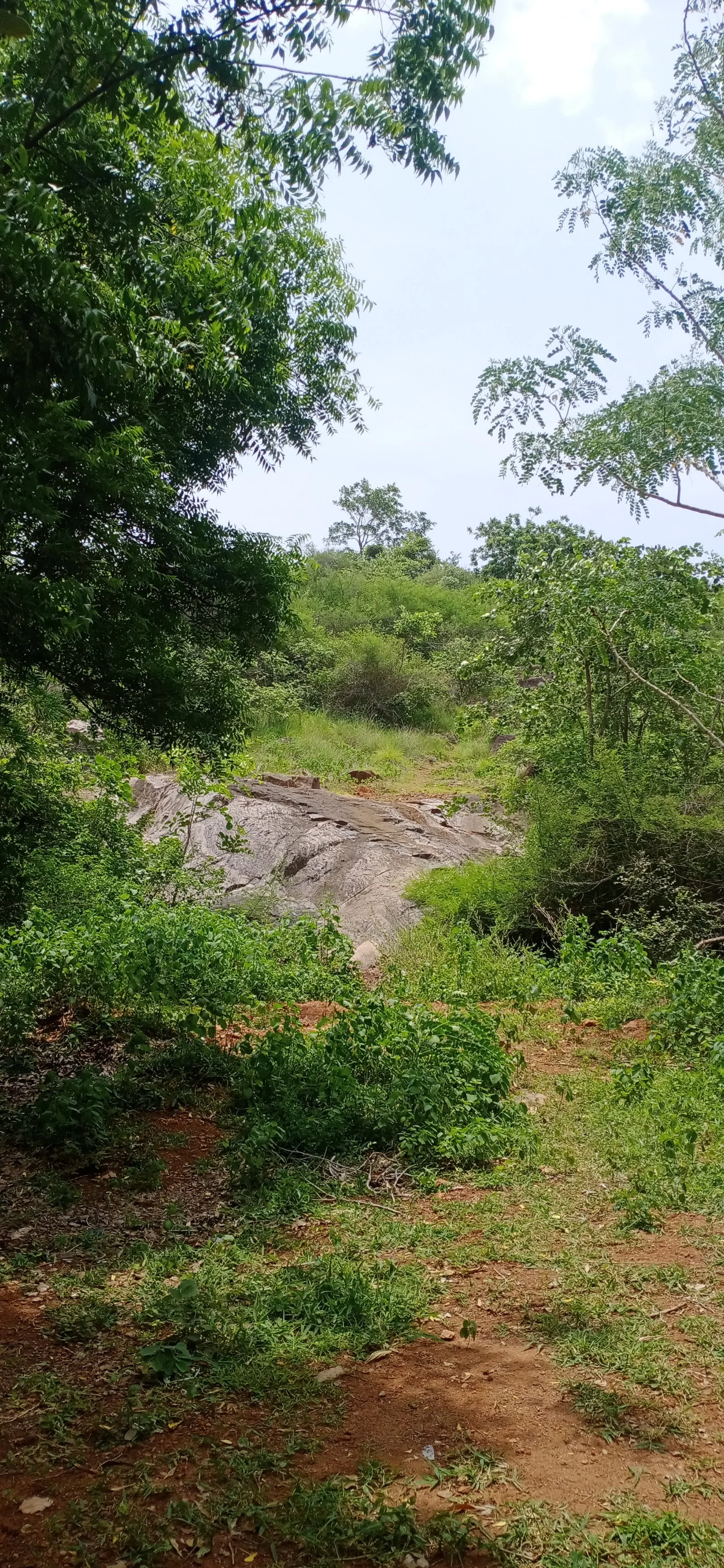 Guntur gallery 3