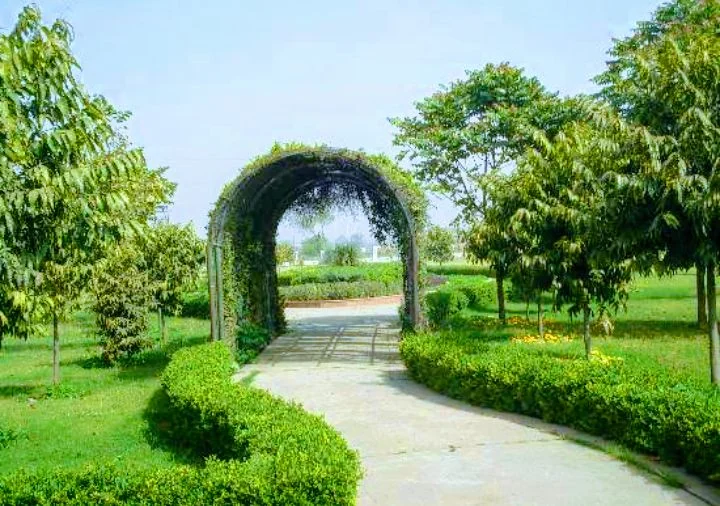 Gurgaon gallery 6