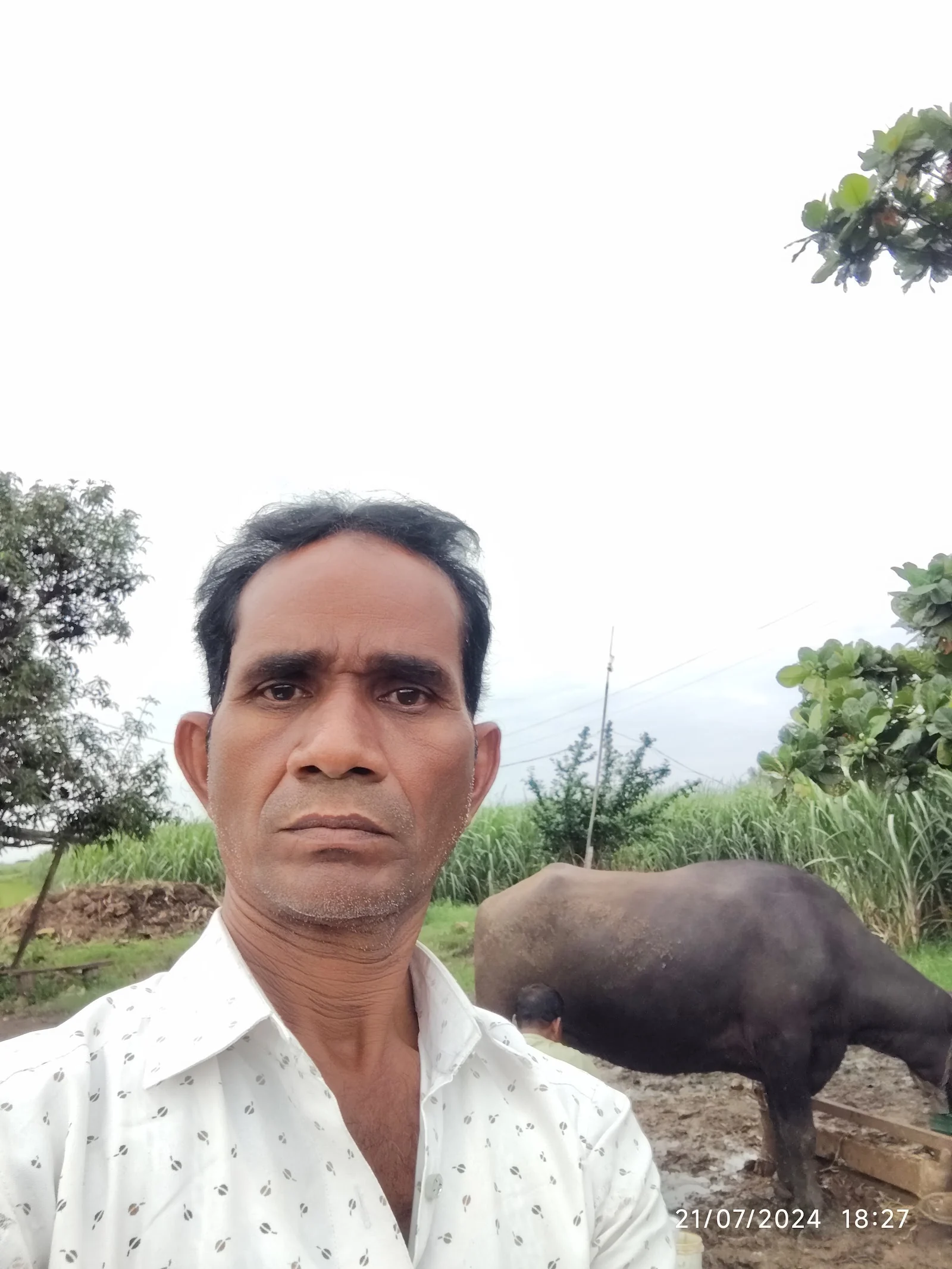 Hadgaon gallery 3