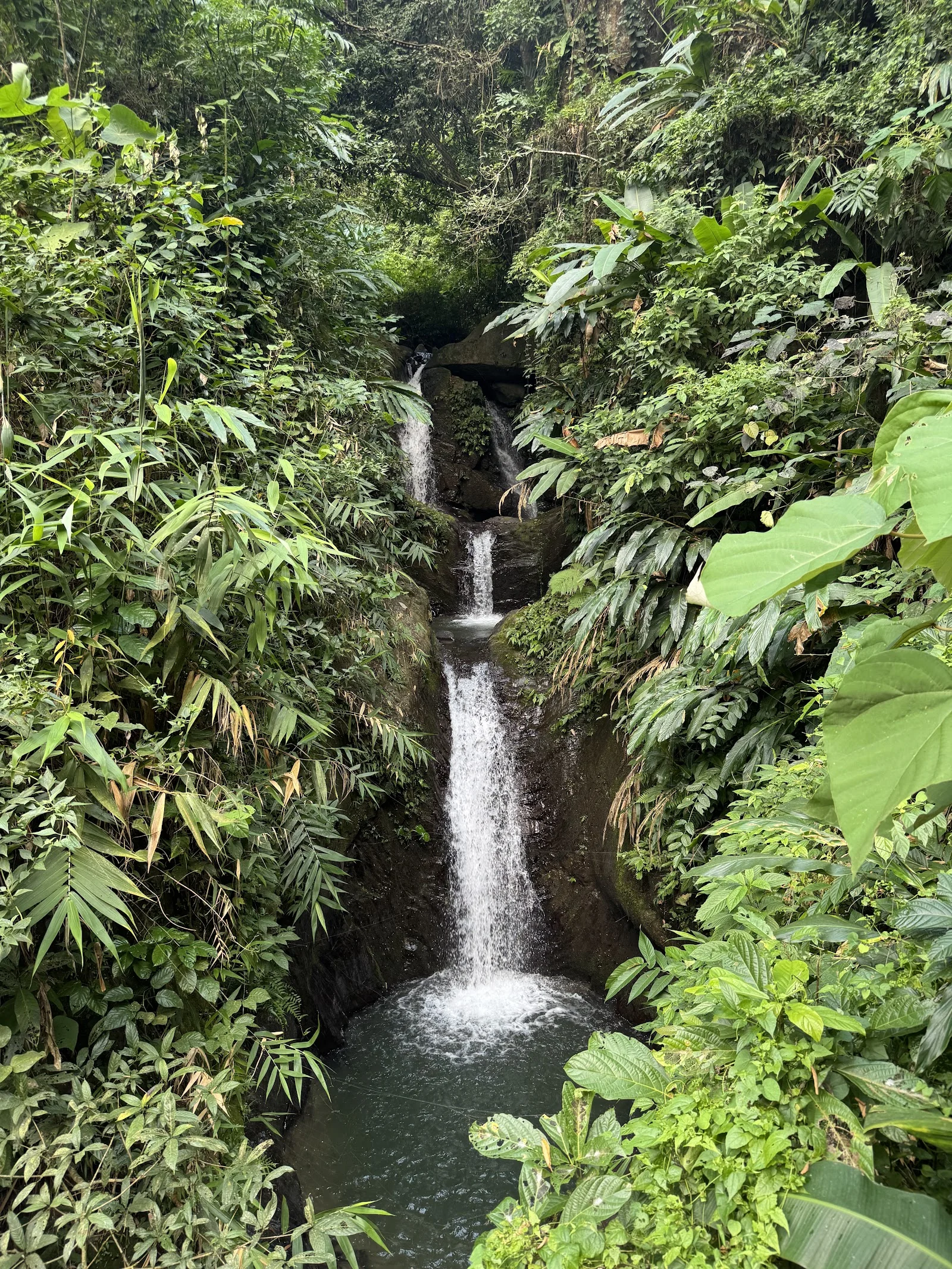 Haflong gallery 7