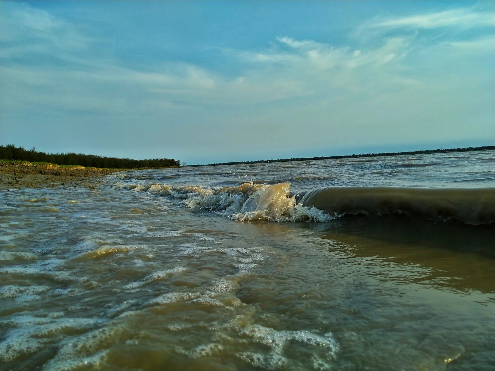 Haldia gallery 5