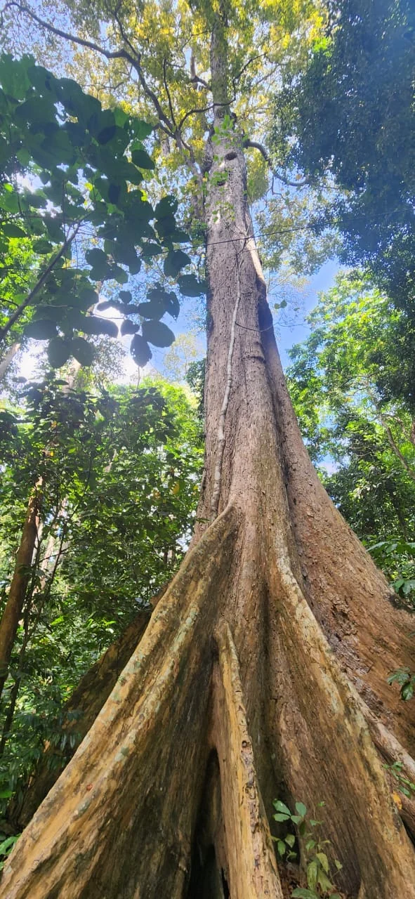 Havelock Island gallery 3