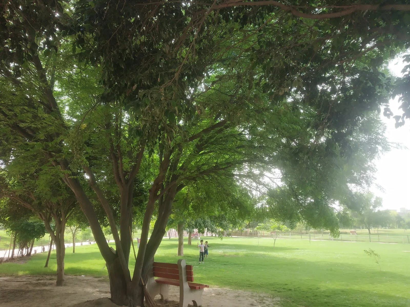 Hisar gallery 2