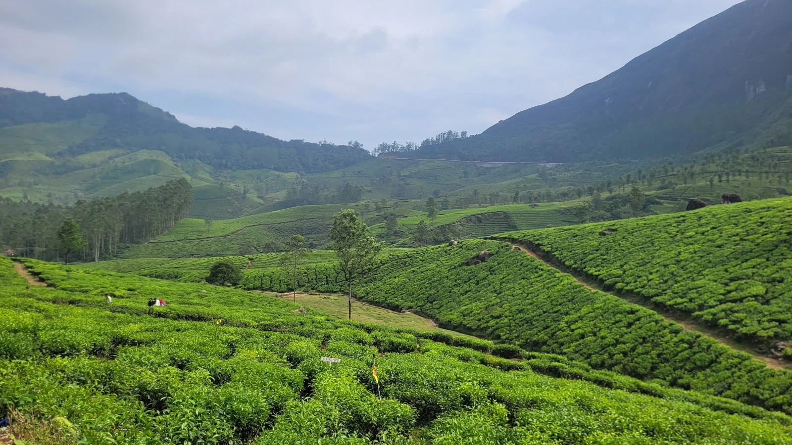 Idukki gallery 6