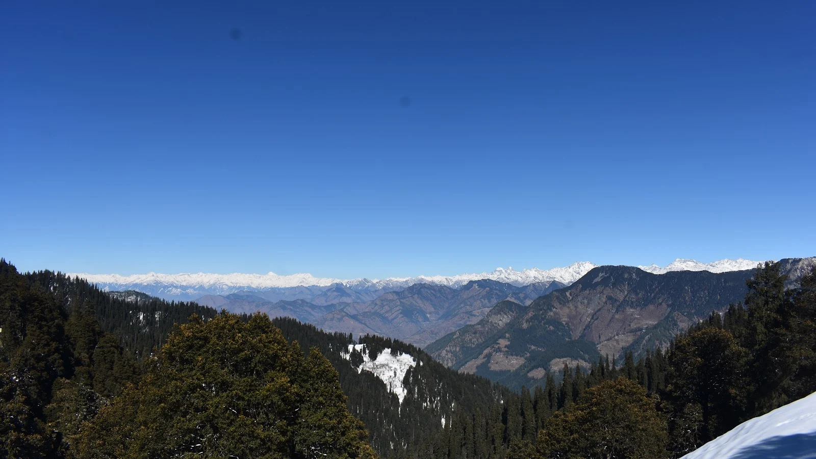 Jibhi gallery 1