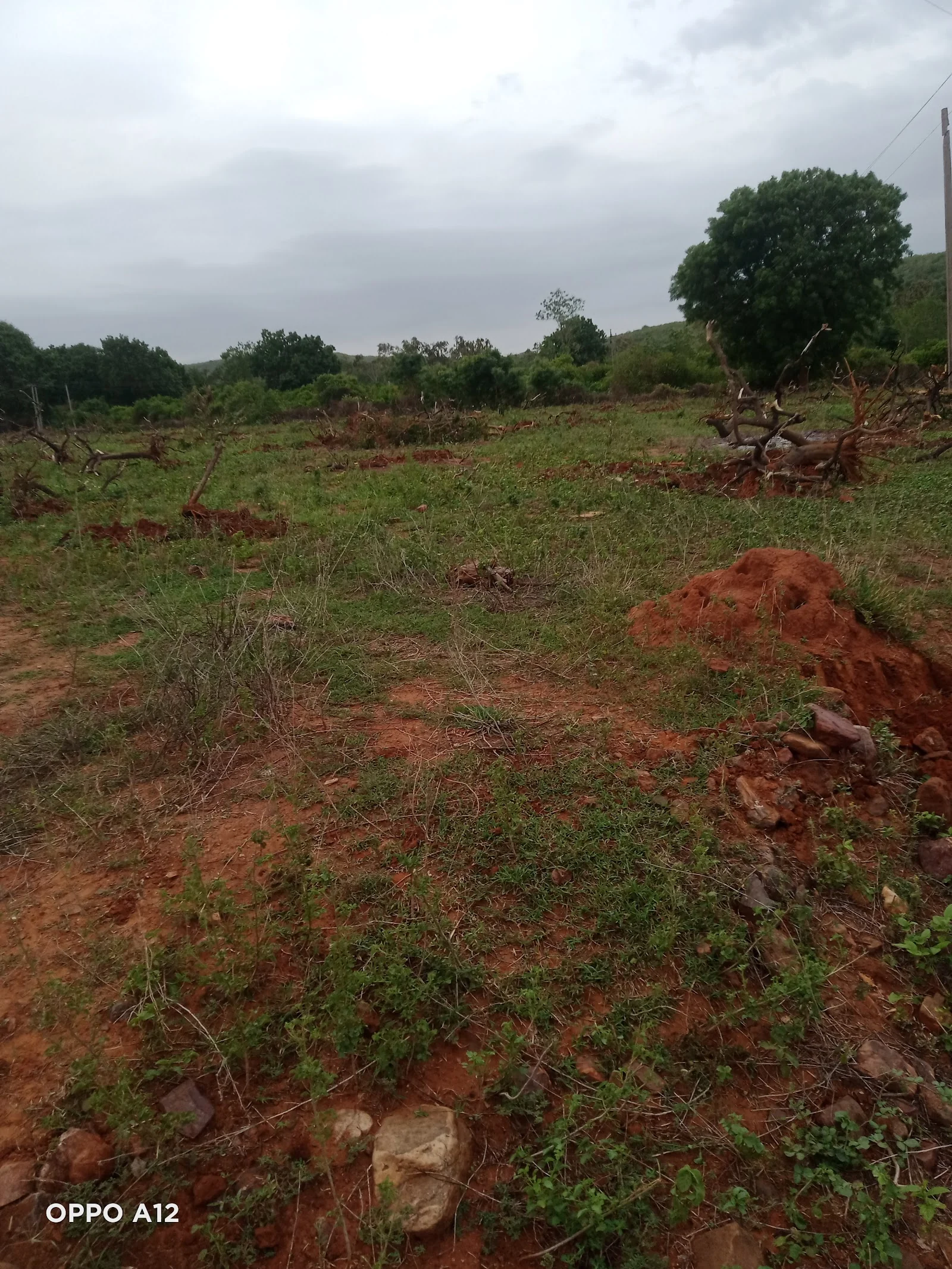 Kadapa gallery 1