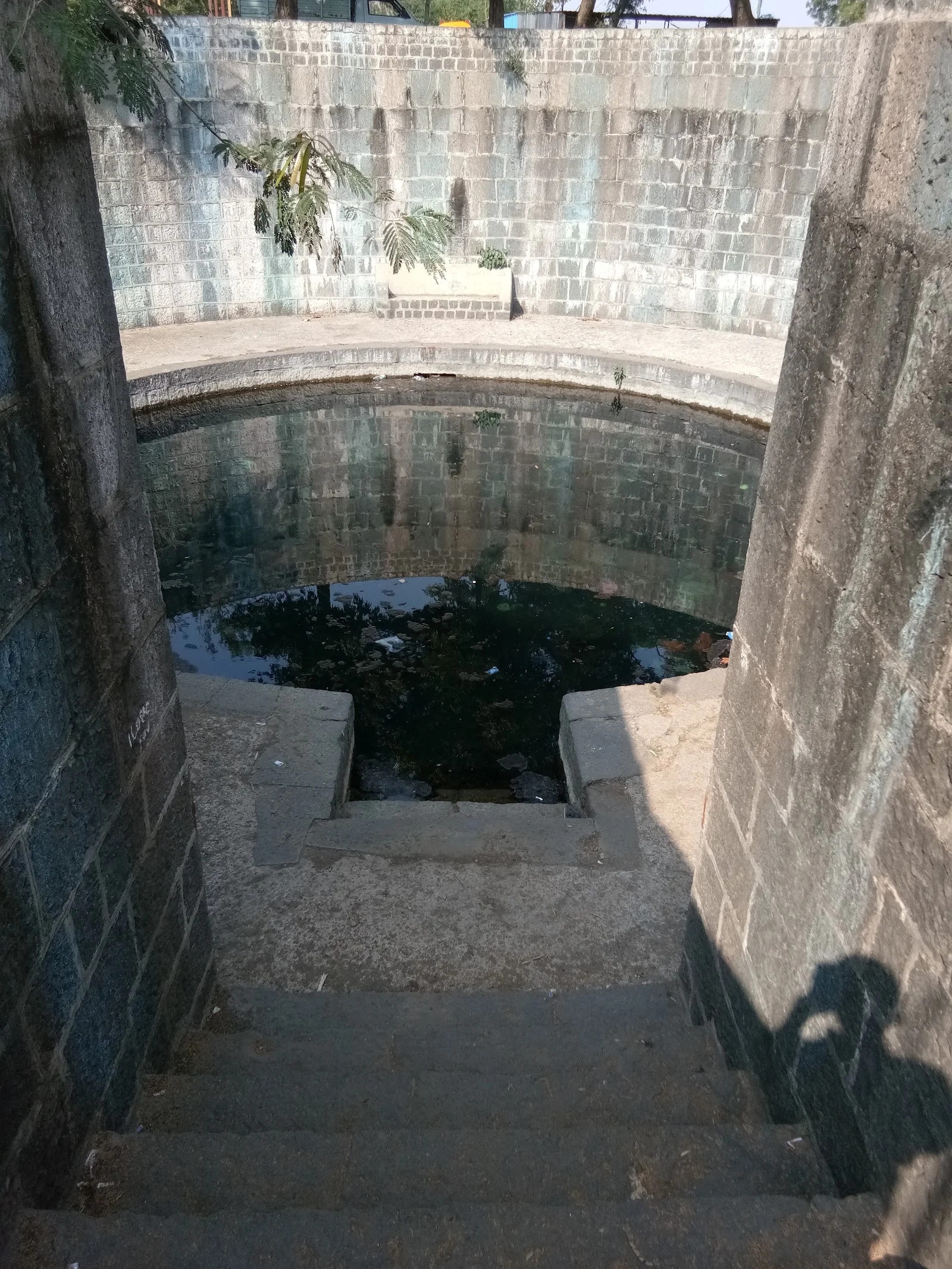 Kalamb gallery 6