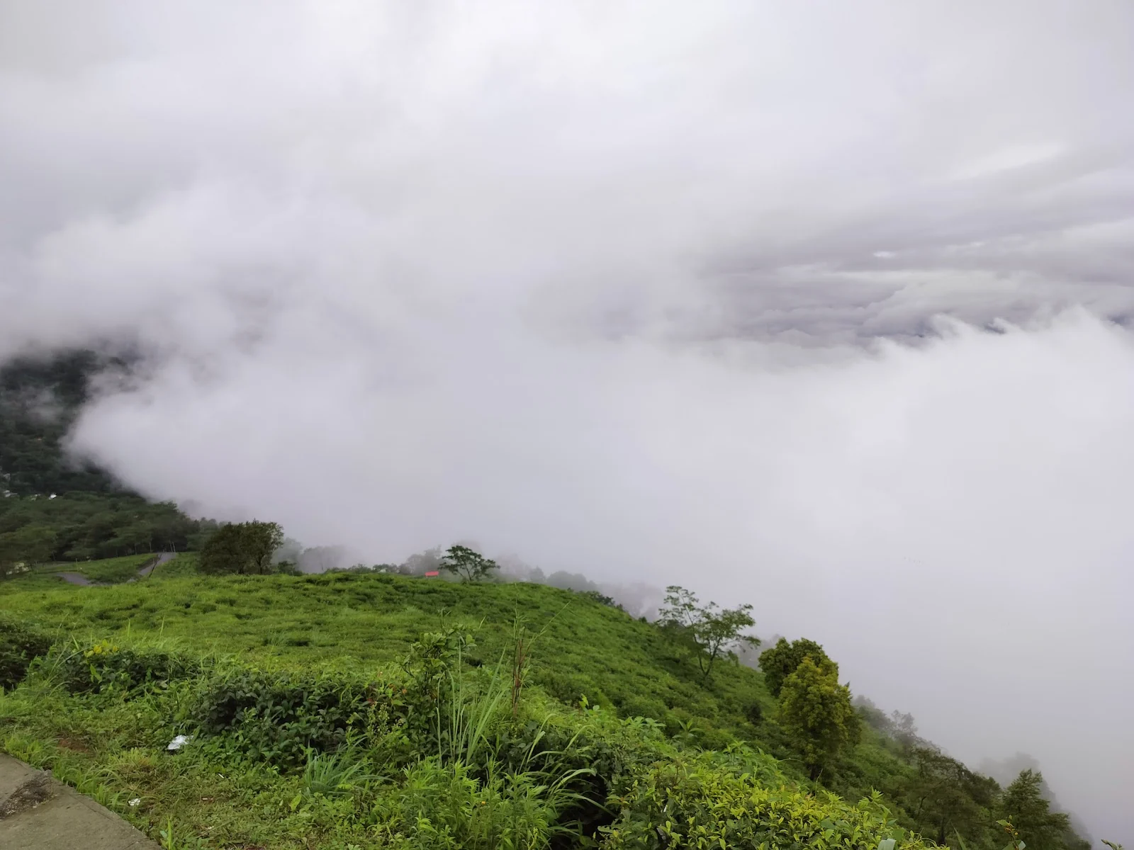 Kalimpong gallery 6