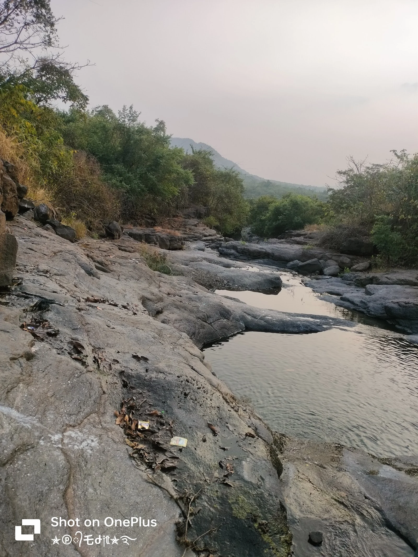 Kalyan gallery 6