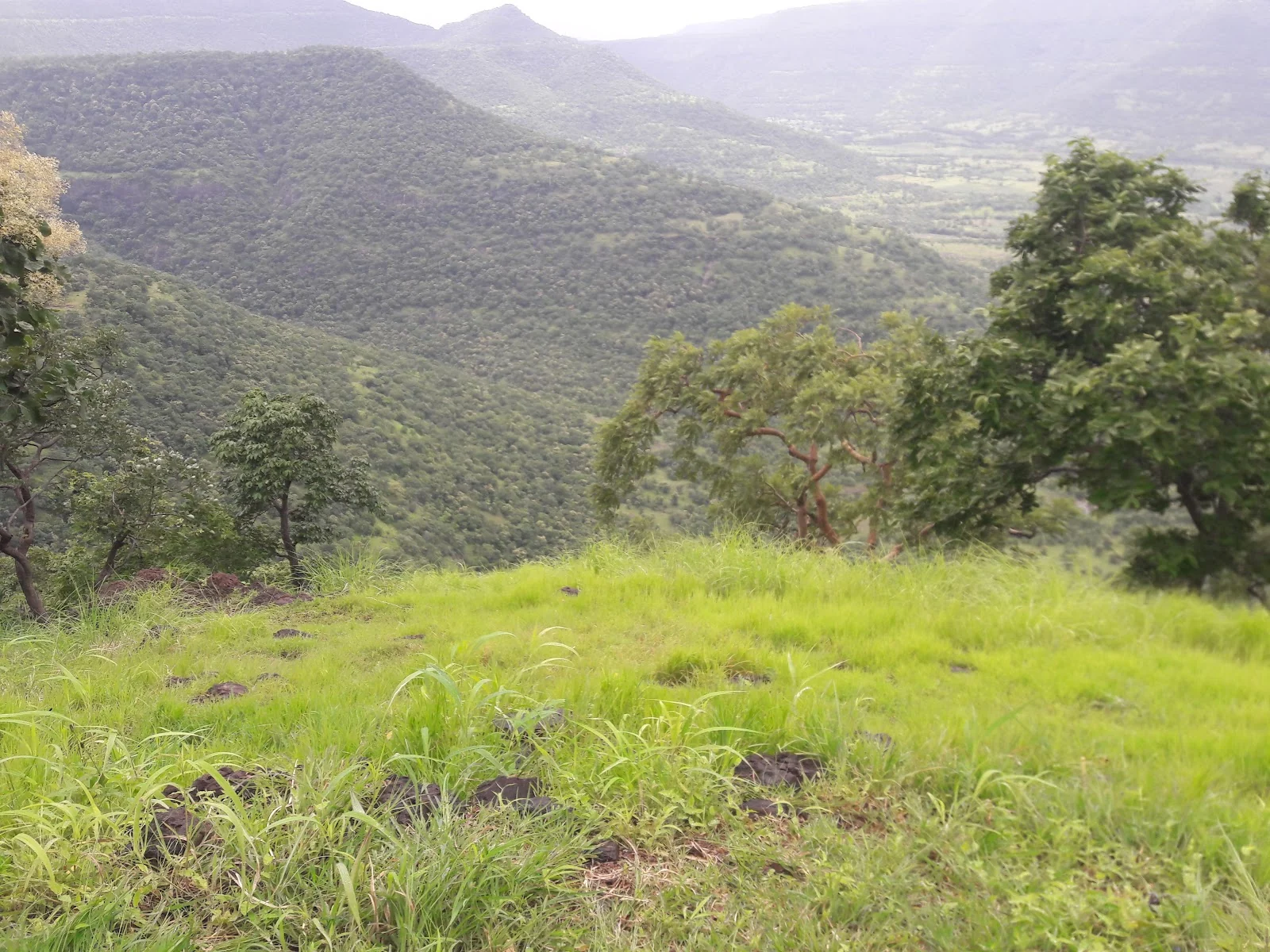 Kannad gallery 4