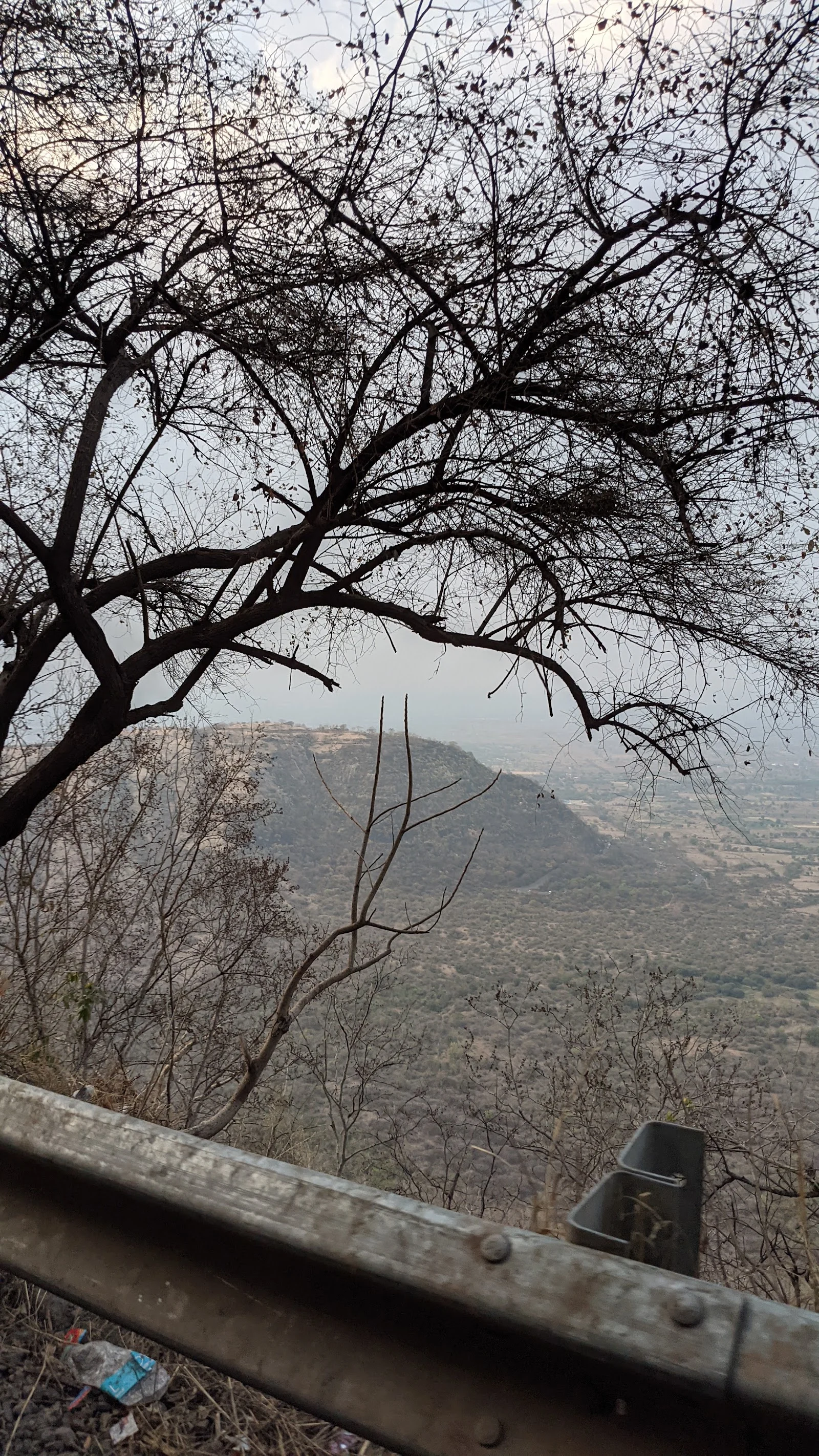 Kannad gallery 7