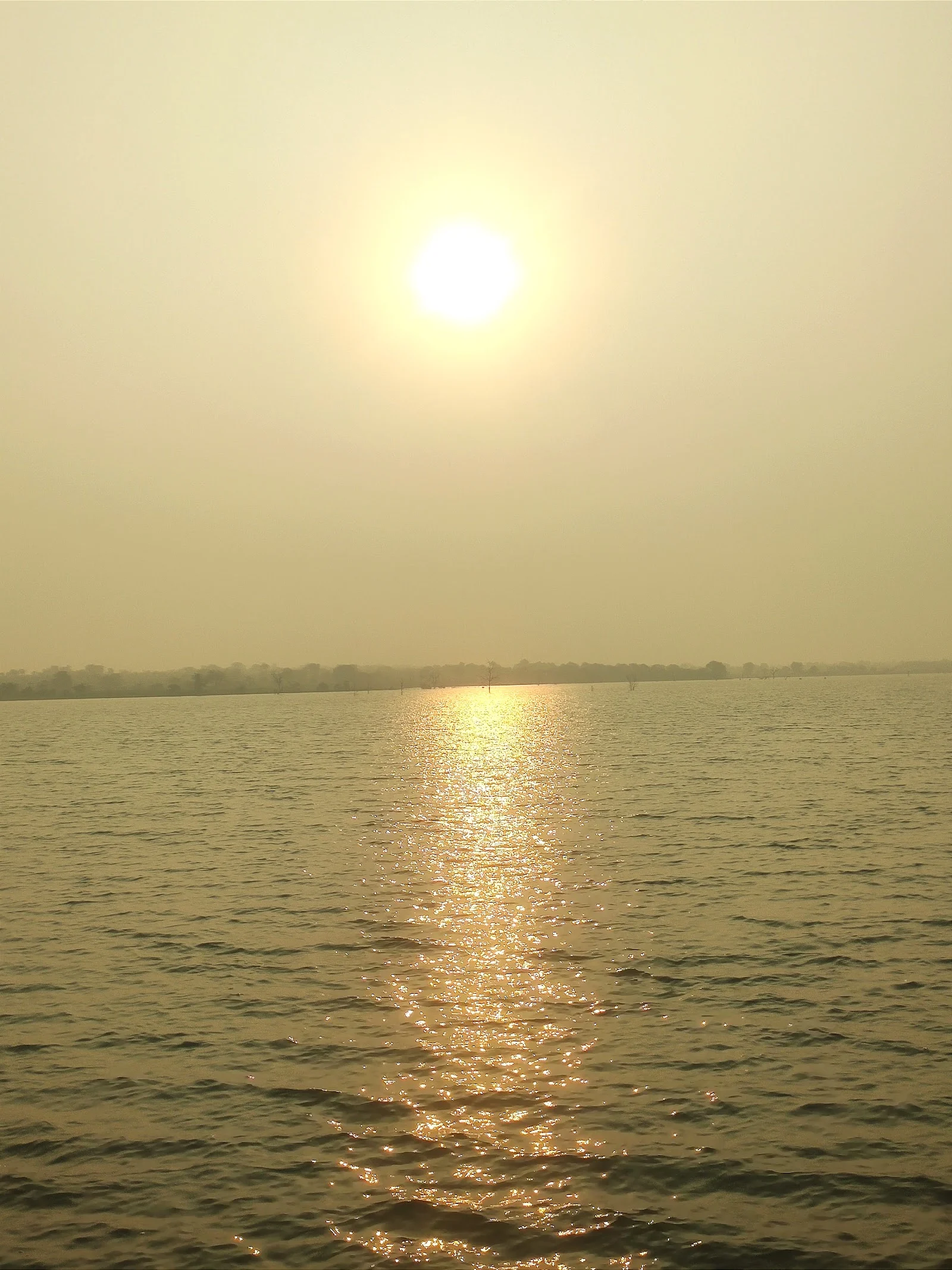 Karanja gallery 4