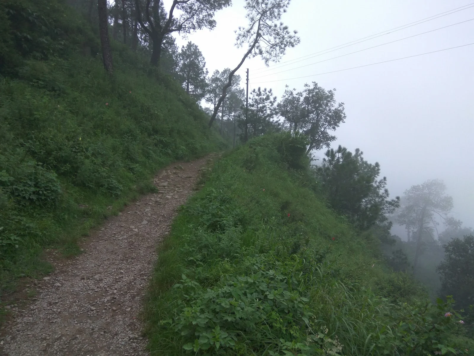 Kasauli gallery 2