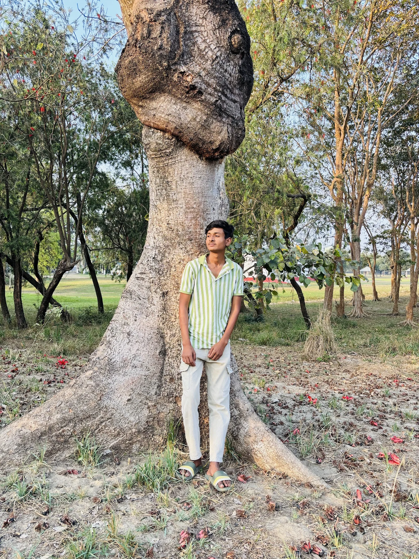 Katihar gallery 4