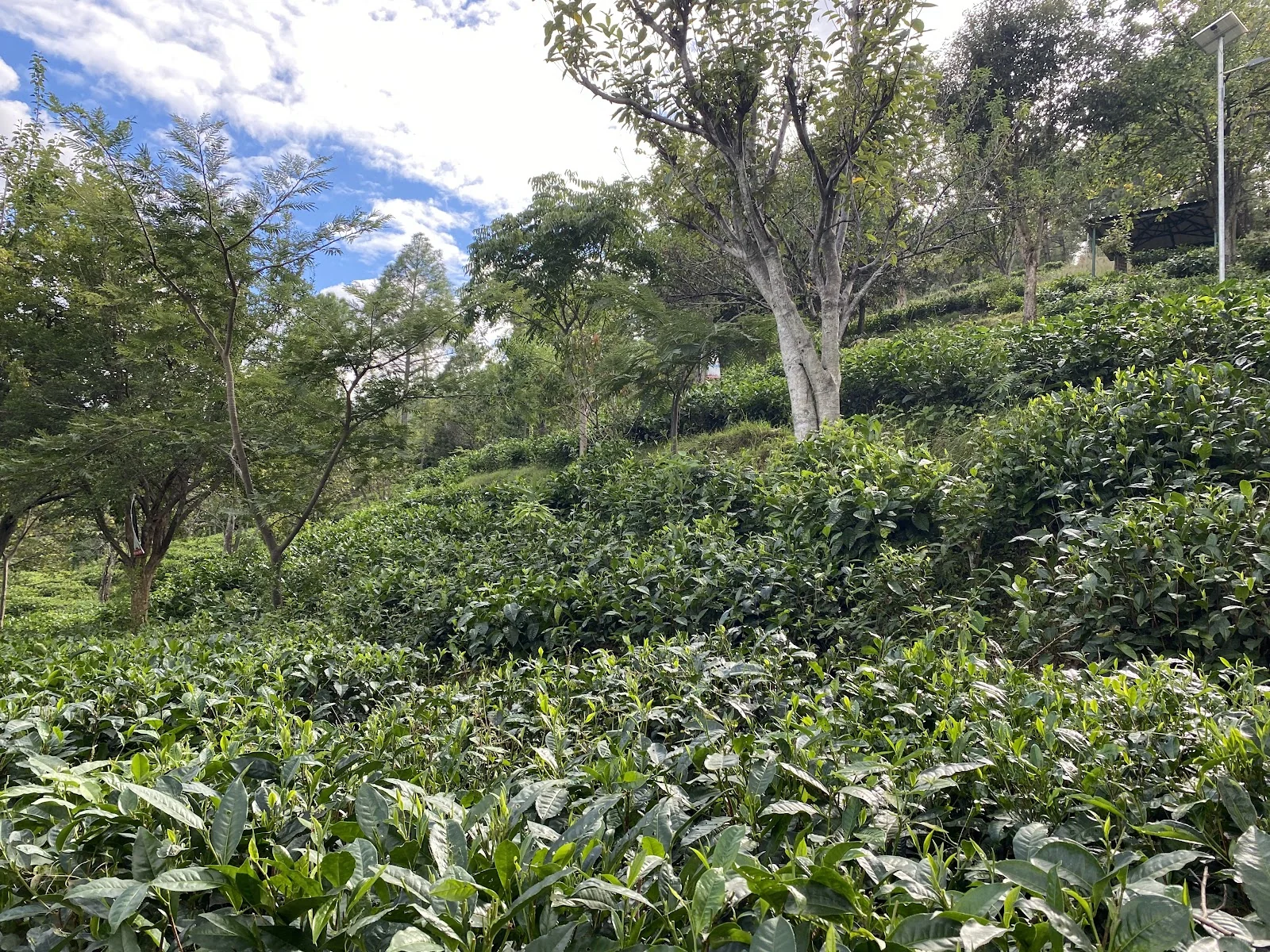 Kausani gallery 1
