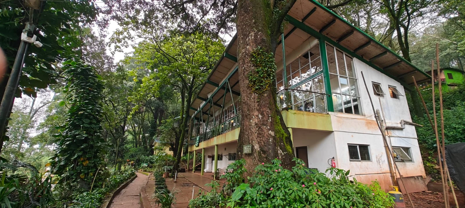 Kemmangundi gallery 8