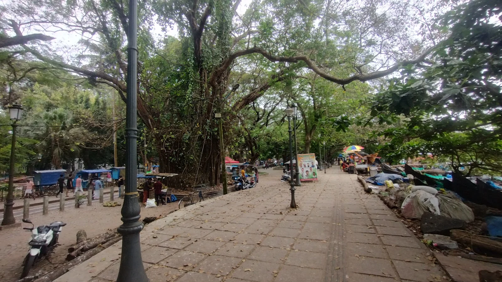Kochi gallery 3