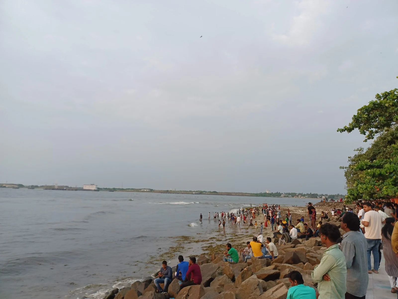 Kochi gallery 4