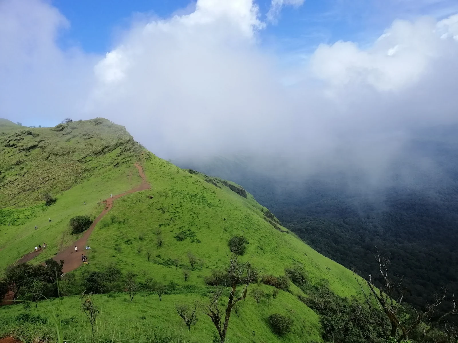 Kodachadri gallery 1