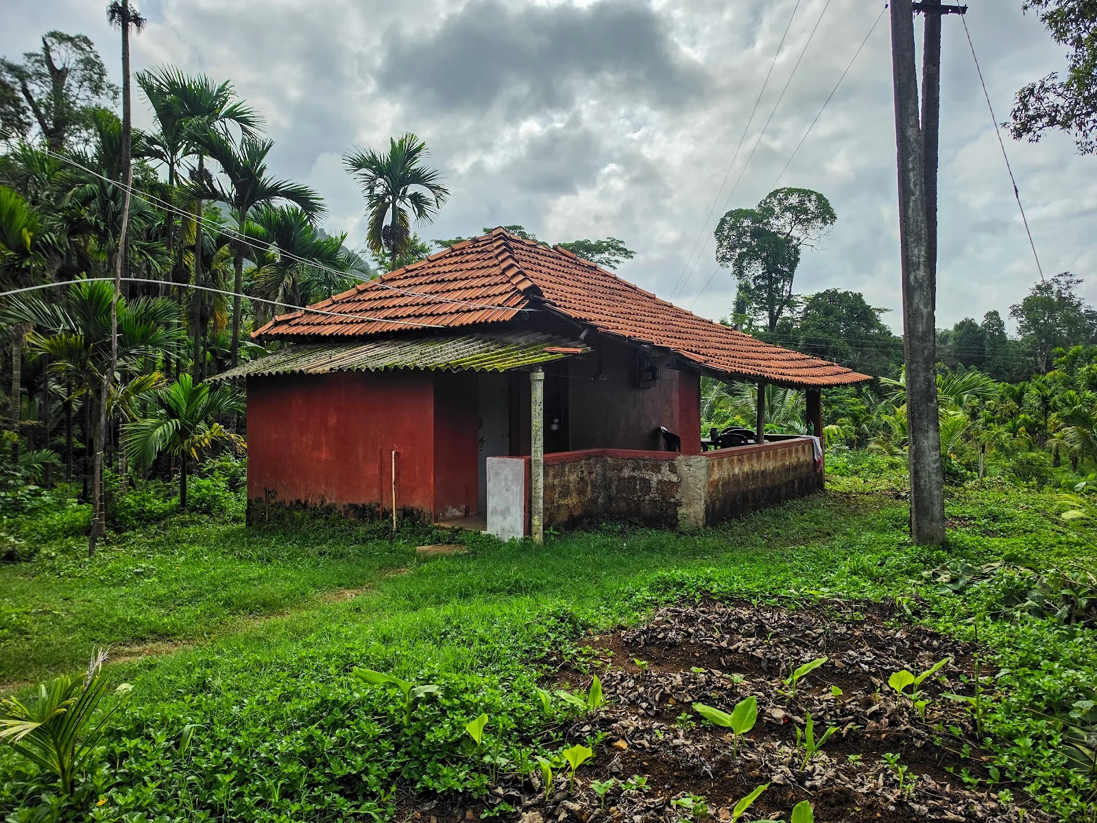 Kodachadri gallery 8