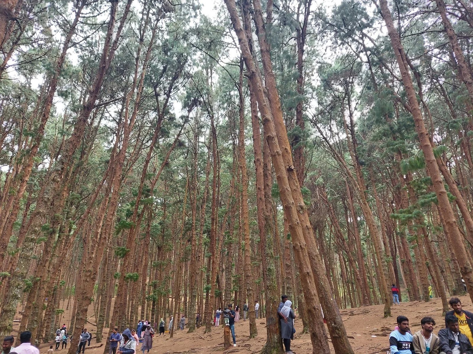 Kodaikanal gallery 1