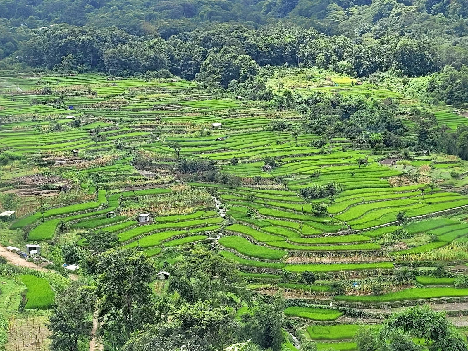 Kohima gallery 3