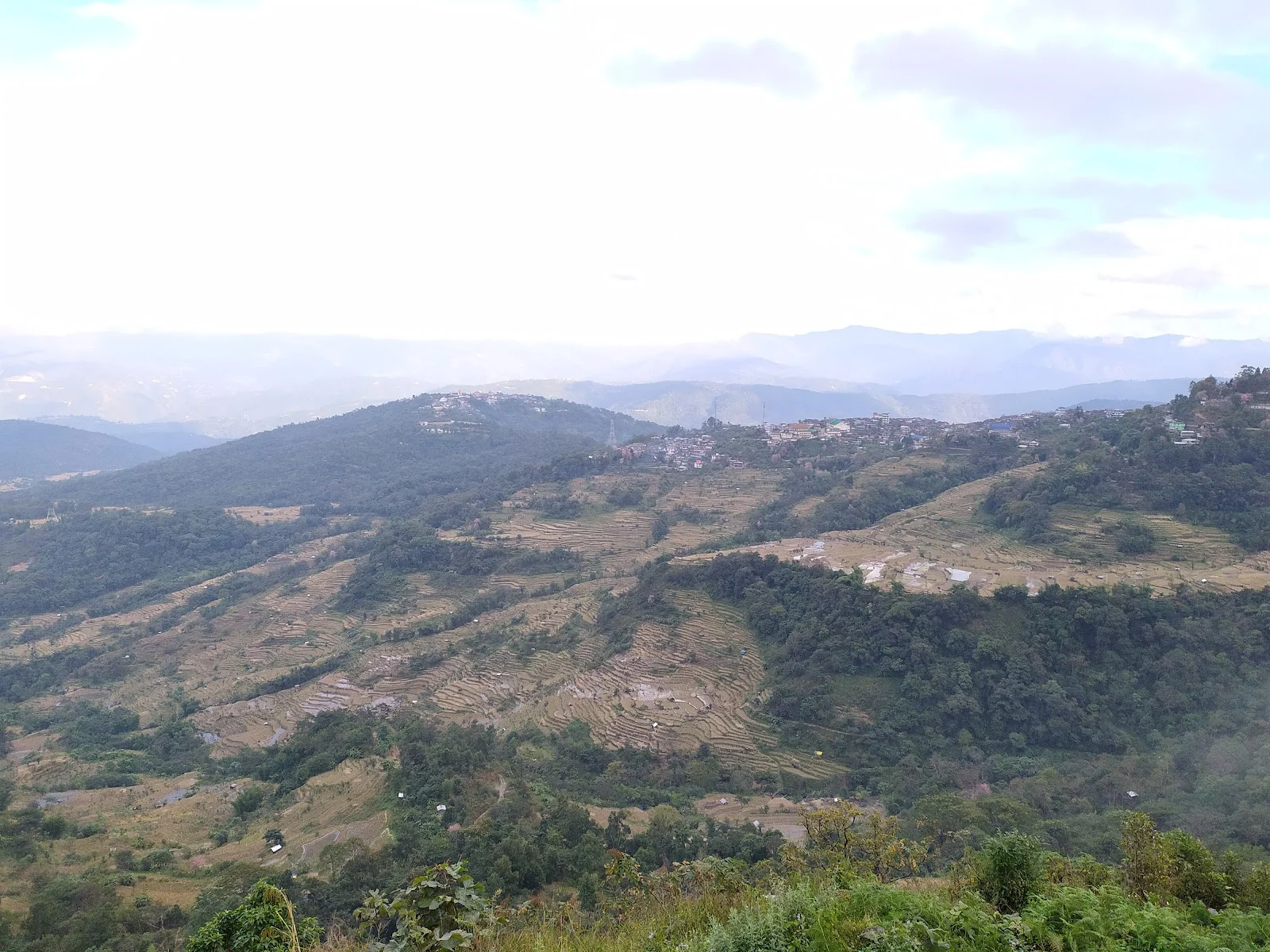 Kohima gallery 7