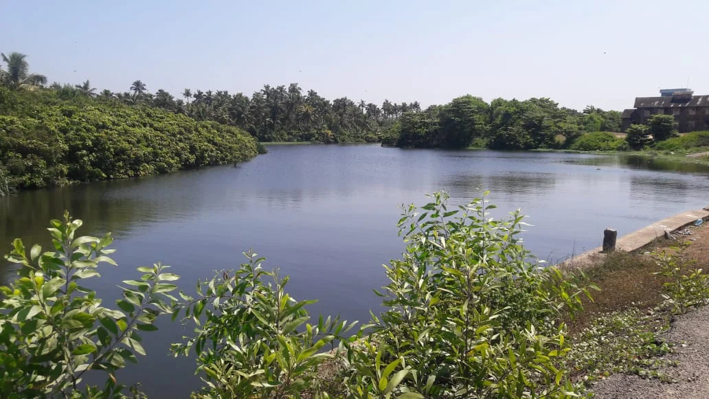 Kovalam gallery 3