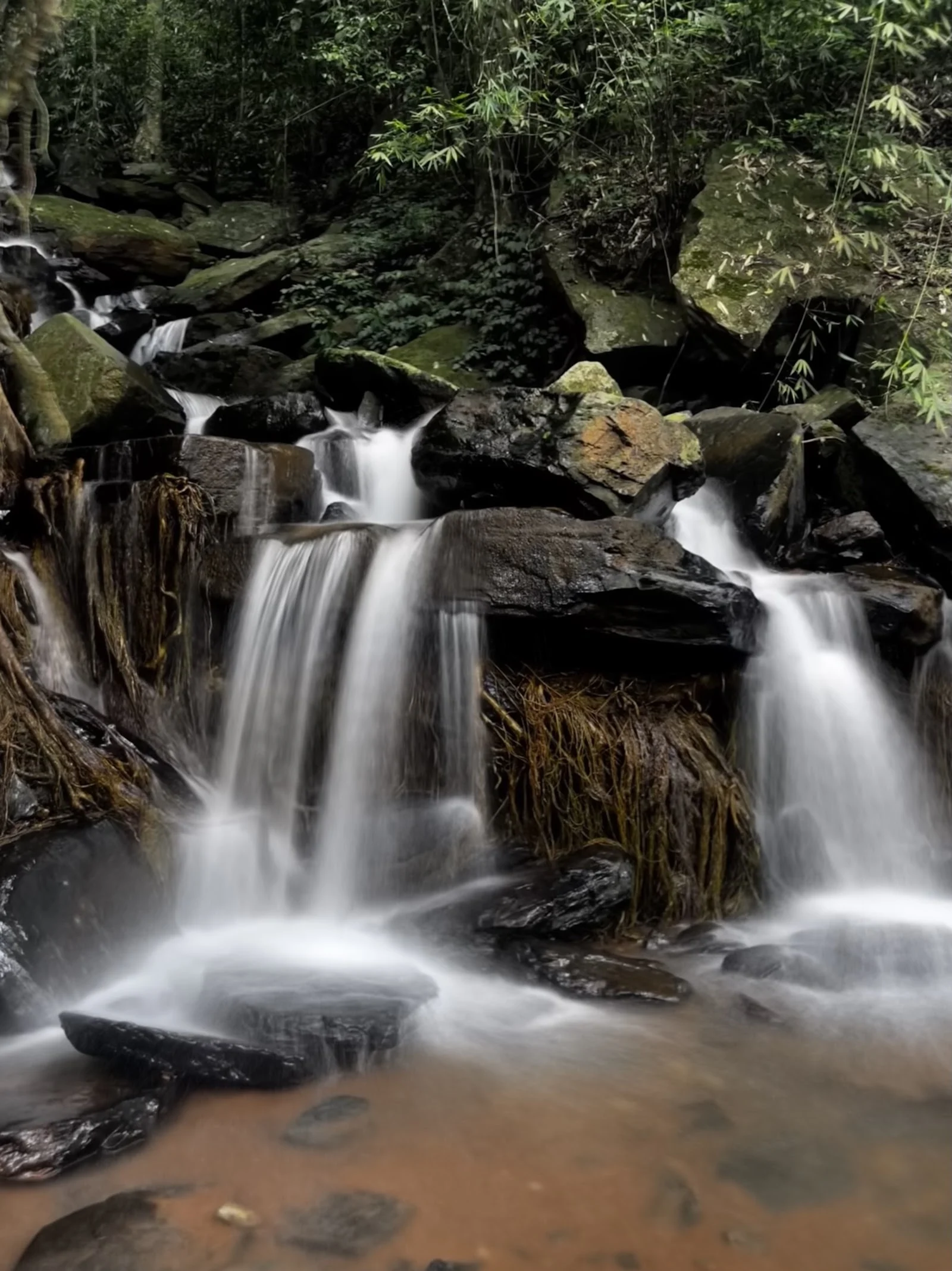 Kudremukh gallery 6