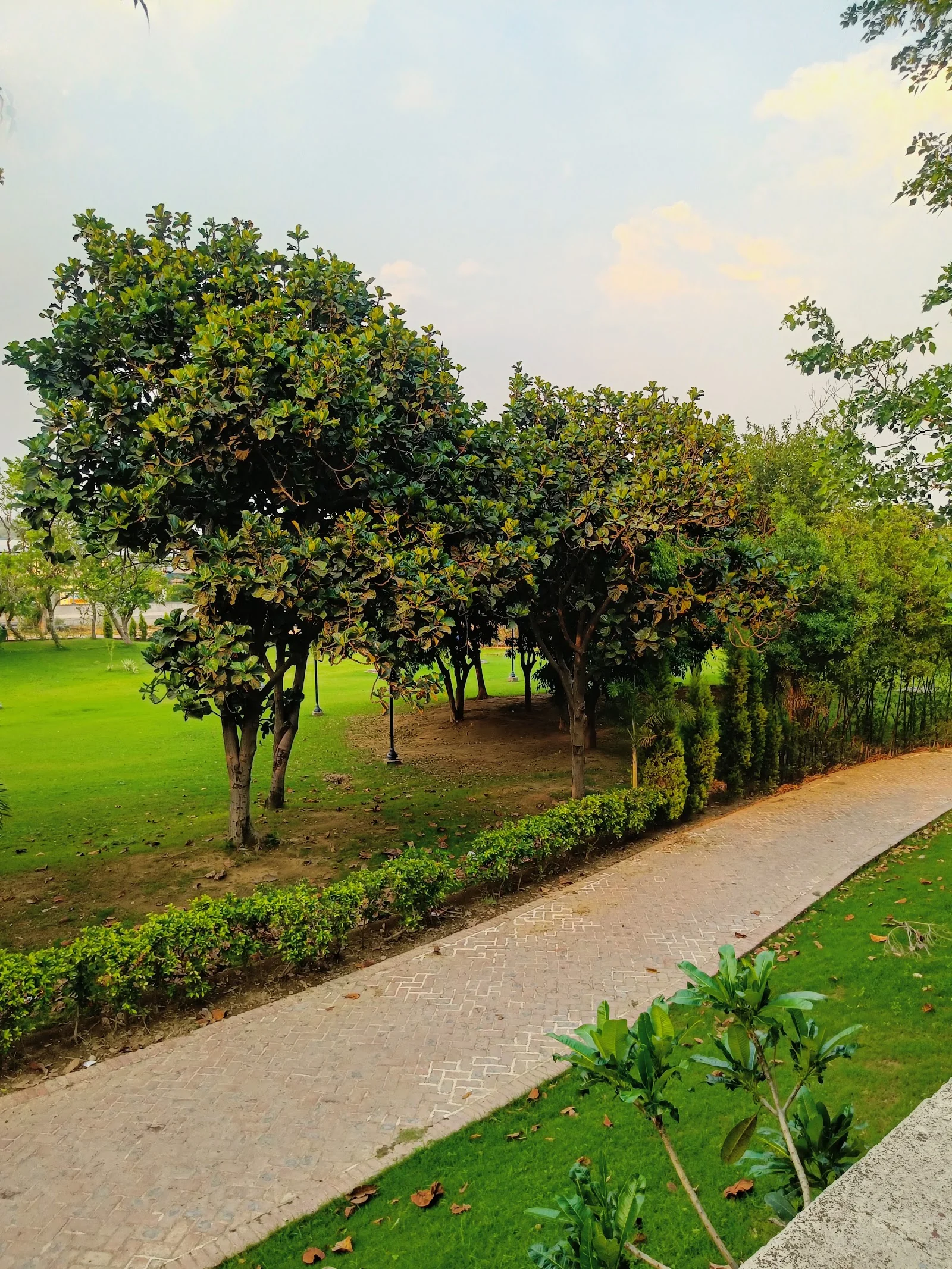 Ludhiana gallery 4