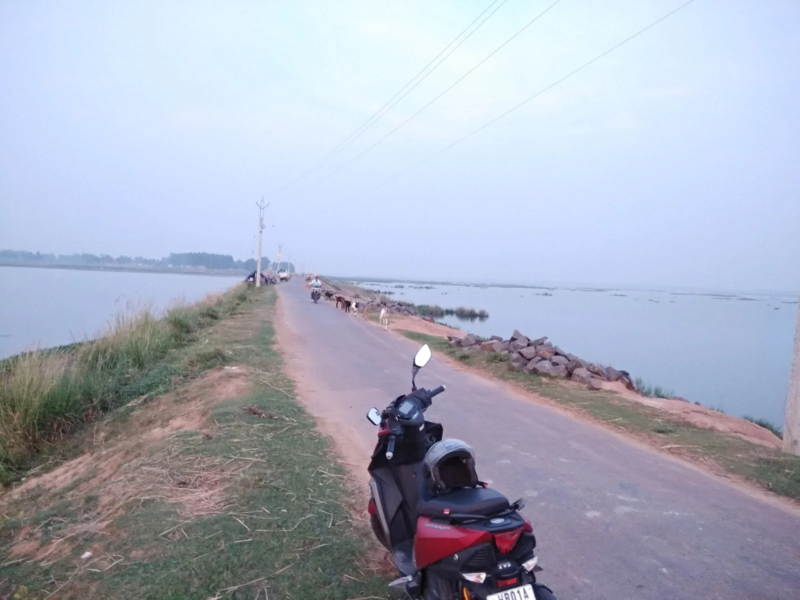 Malda gallery 5