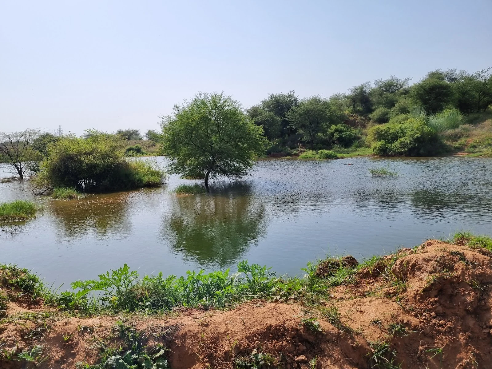 Manesar gallery 7