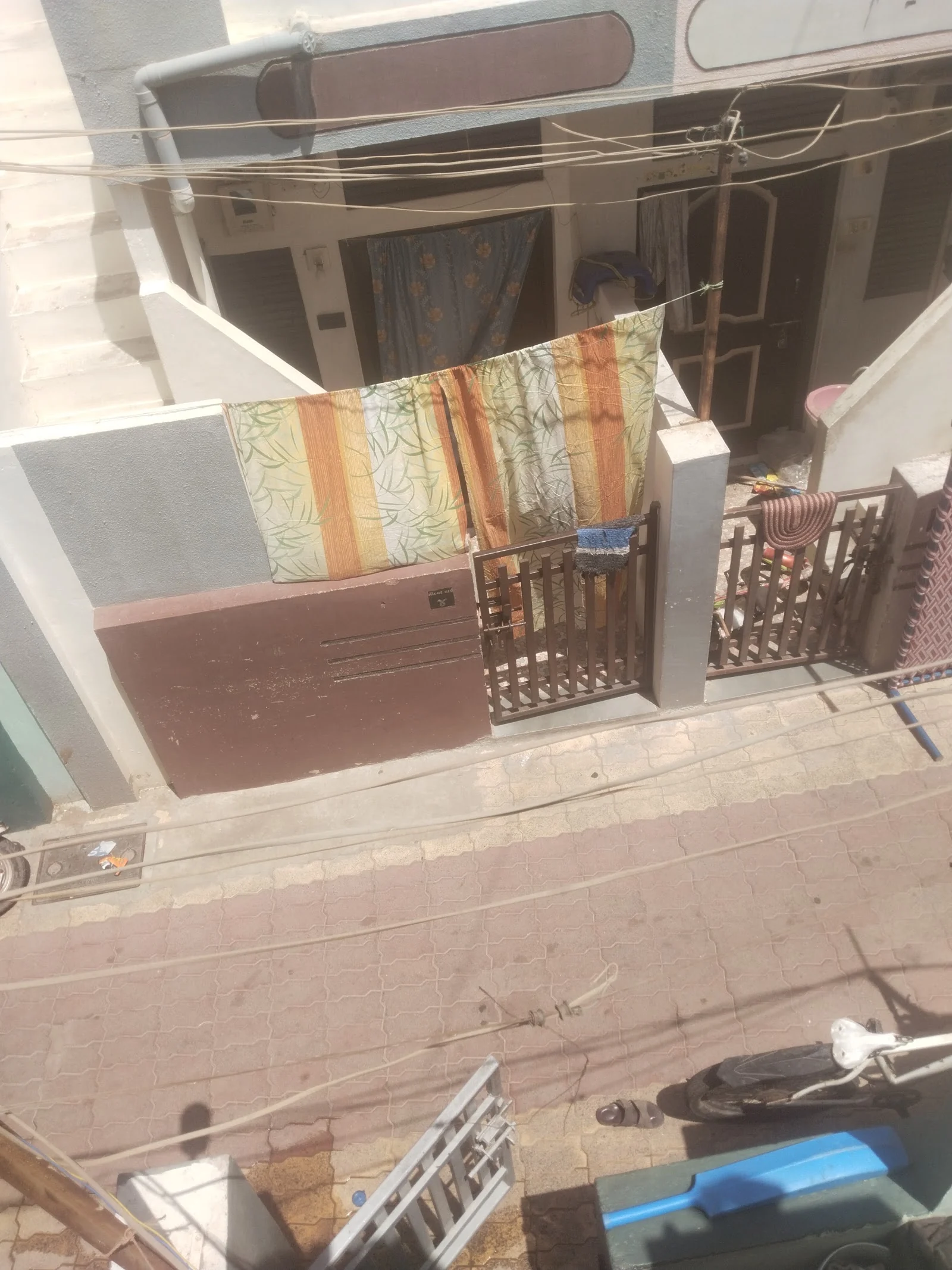 Morbi gallery 4