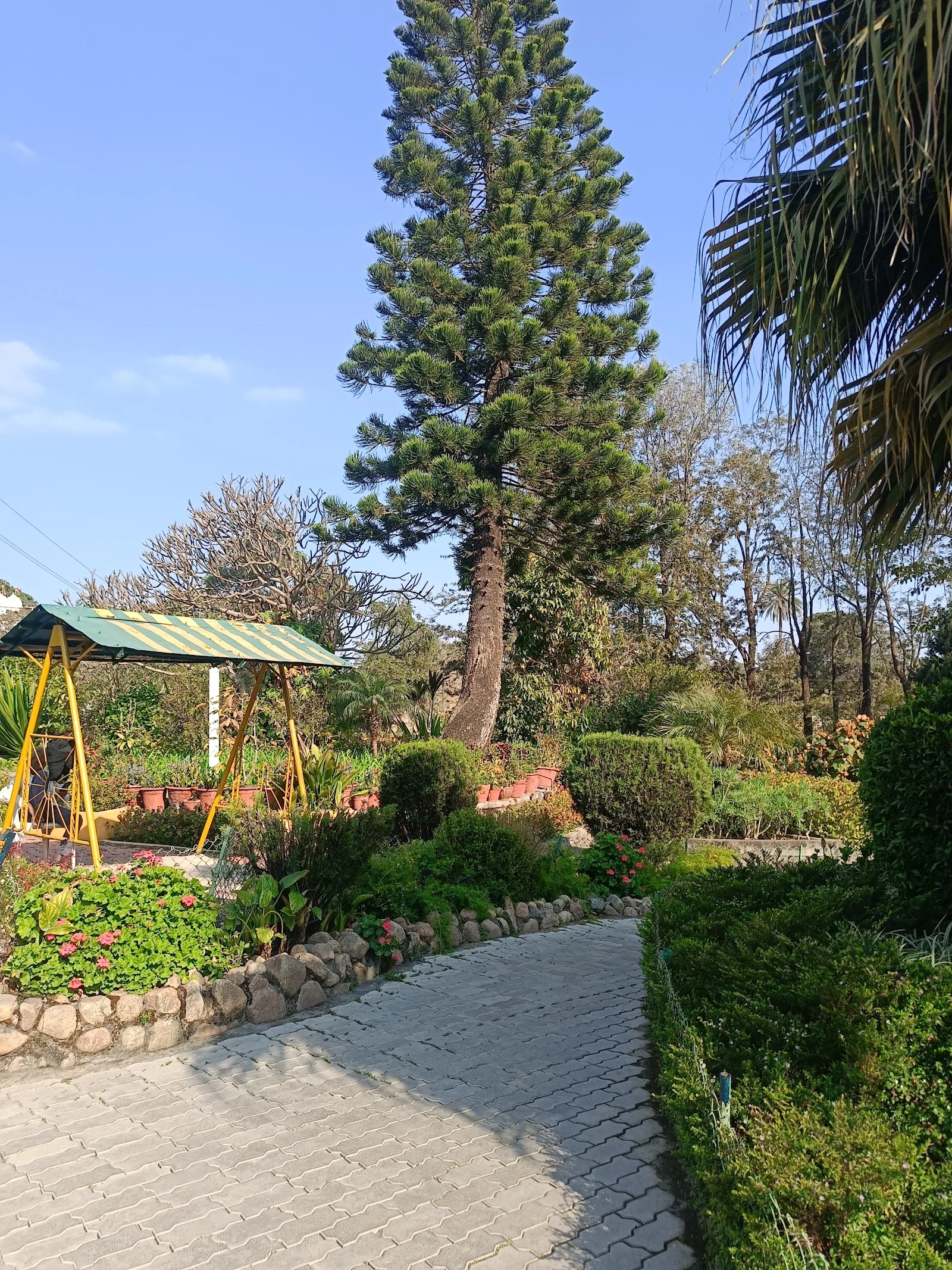 Mount Abu gallery 4