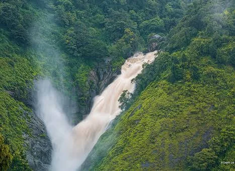 Munnar gallery 4