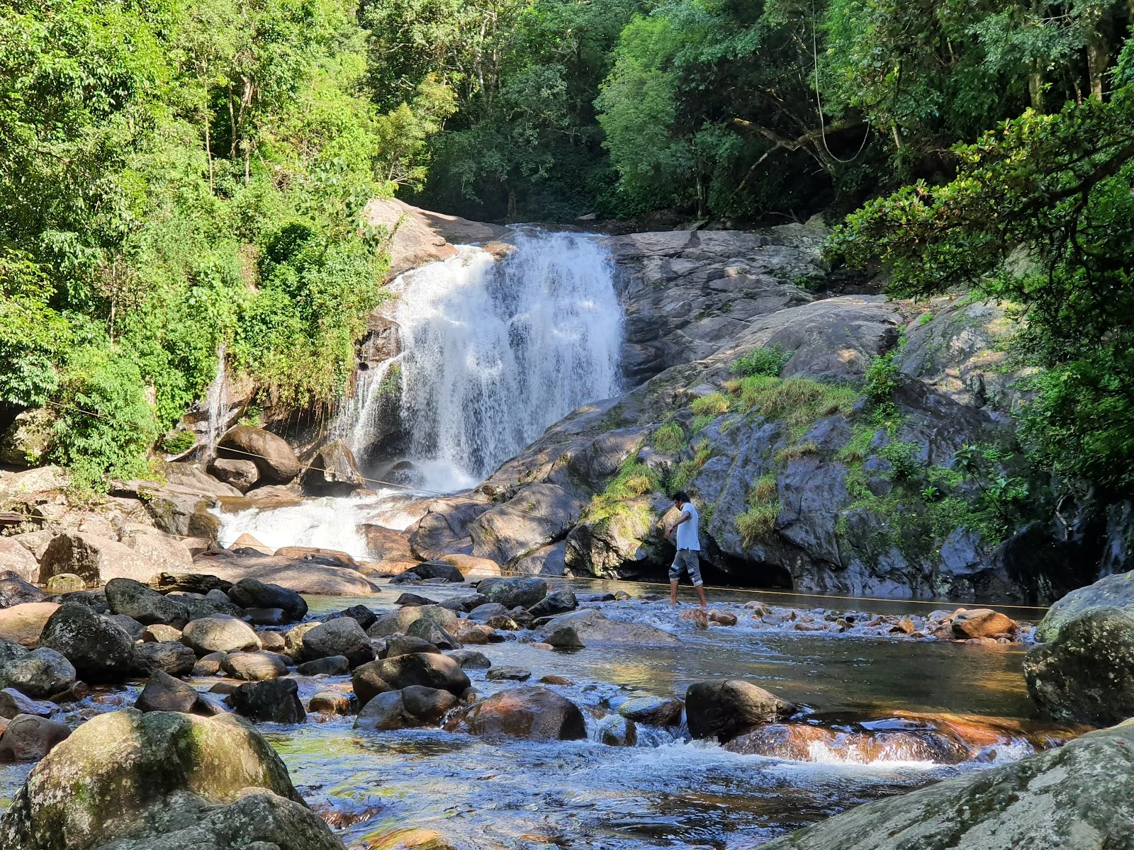 Munnar gallery 5