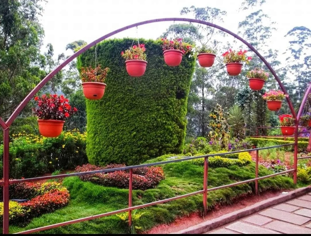 Munnar gallery 6