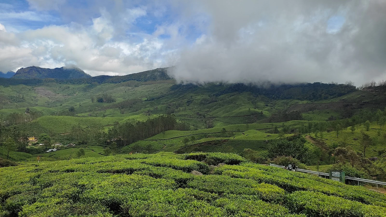 Munnar gallery 7