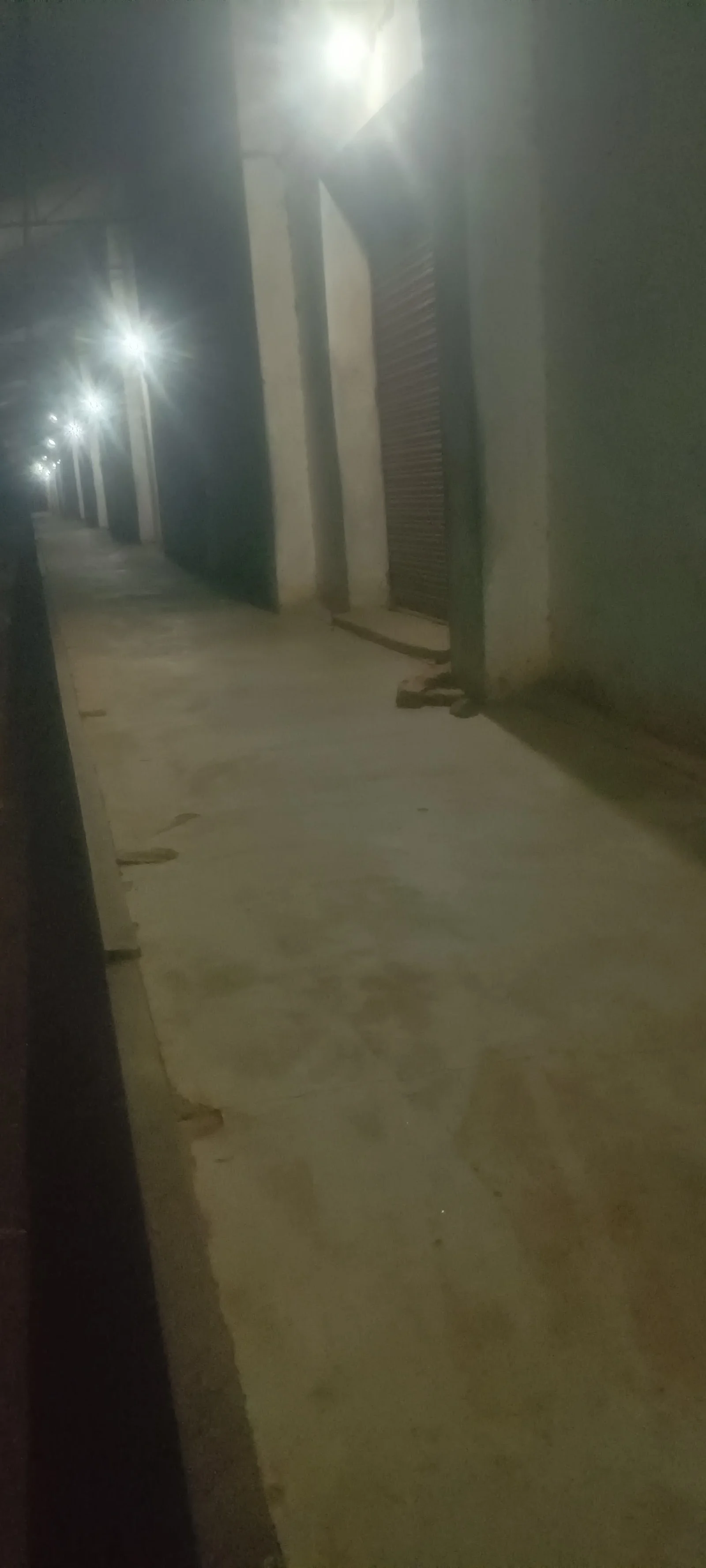 Murwara gallery 6