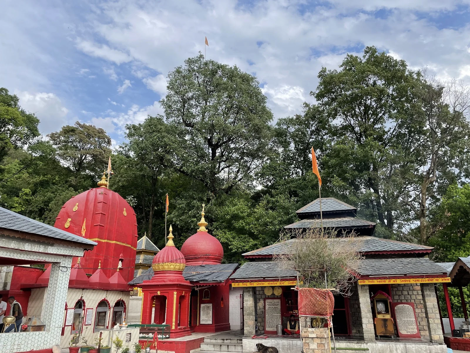Nagrota Bagwan gallery 4