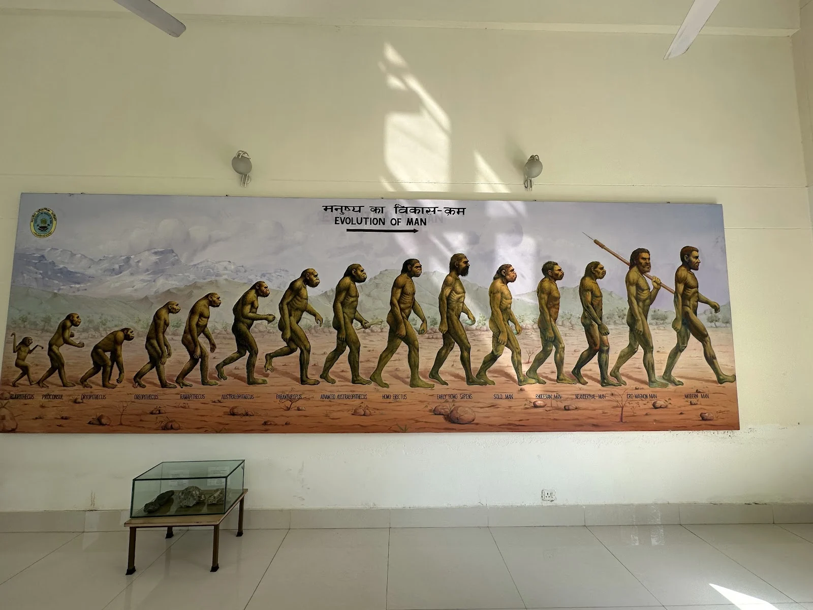 Nahan gallery 3