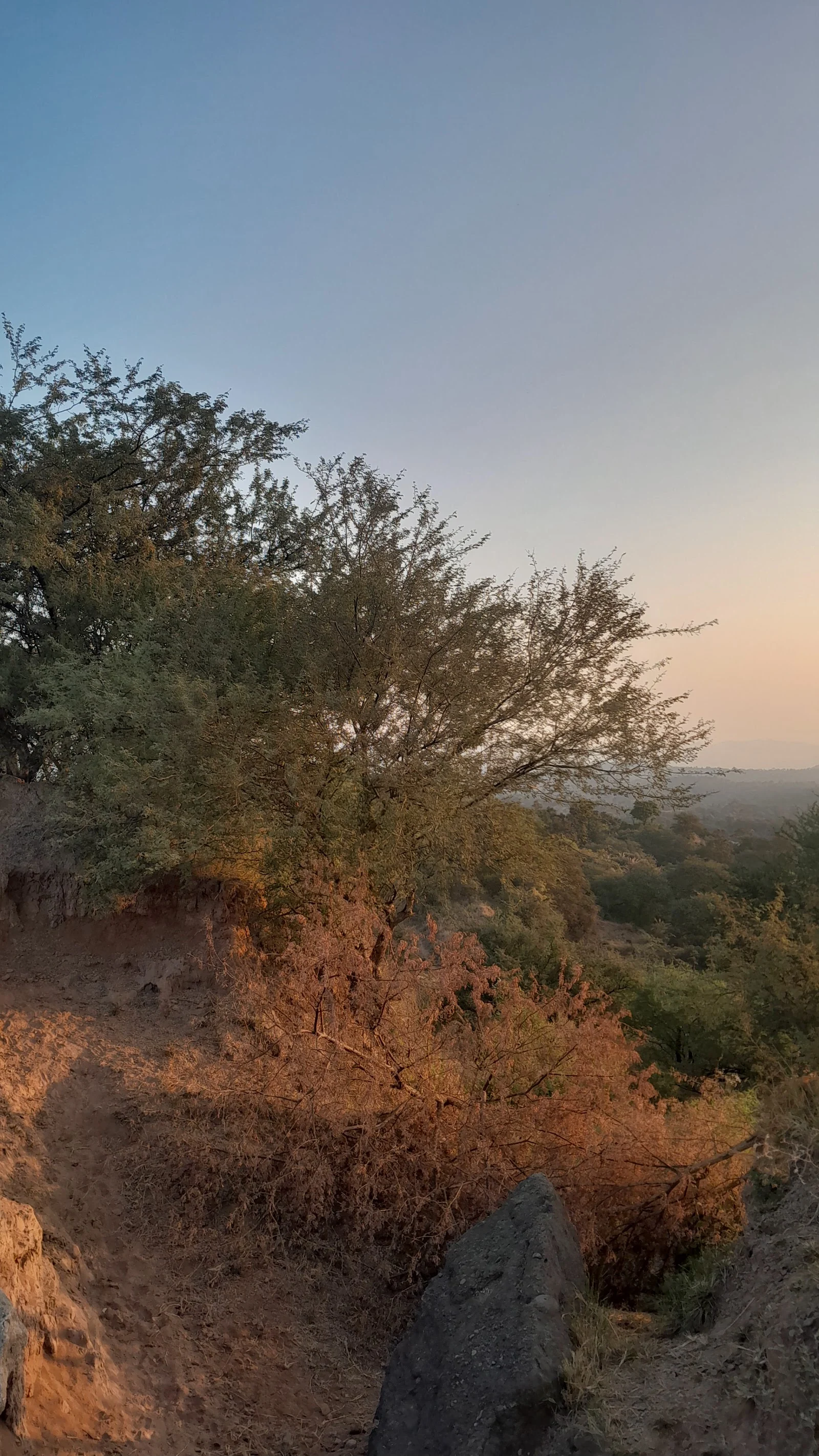 Nalagarh gallery 3