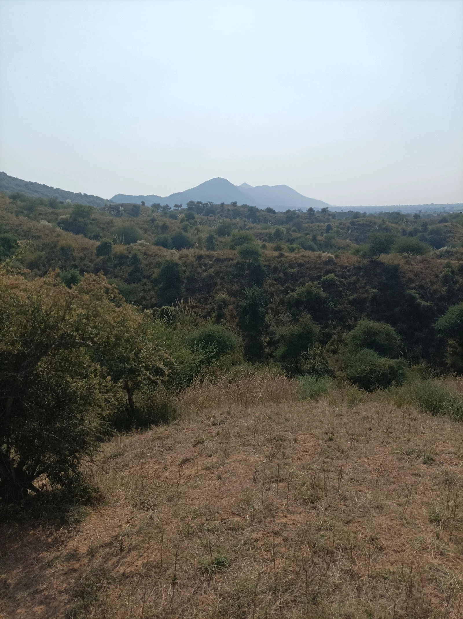 Neemrana gallery 2