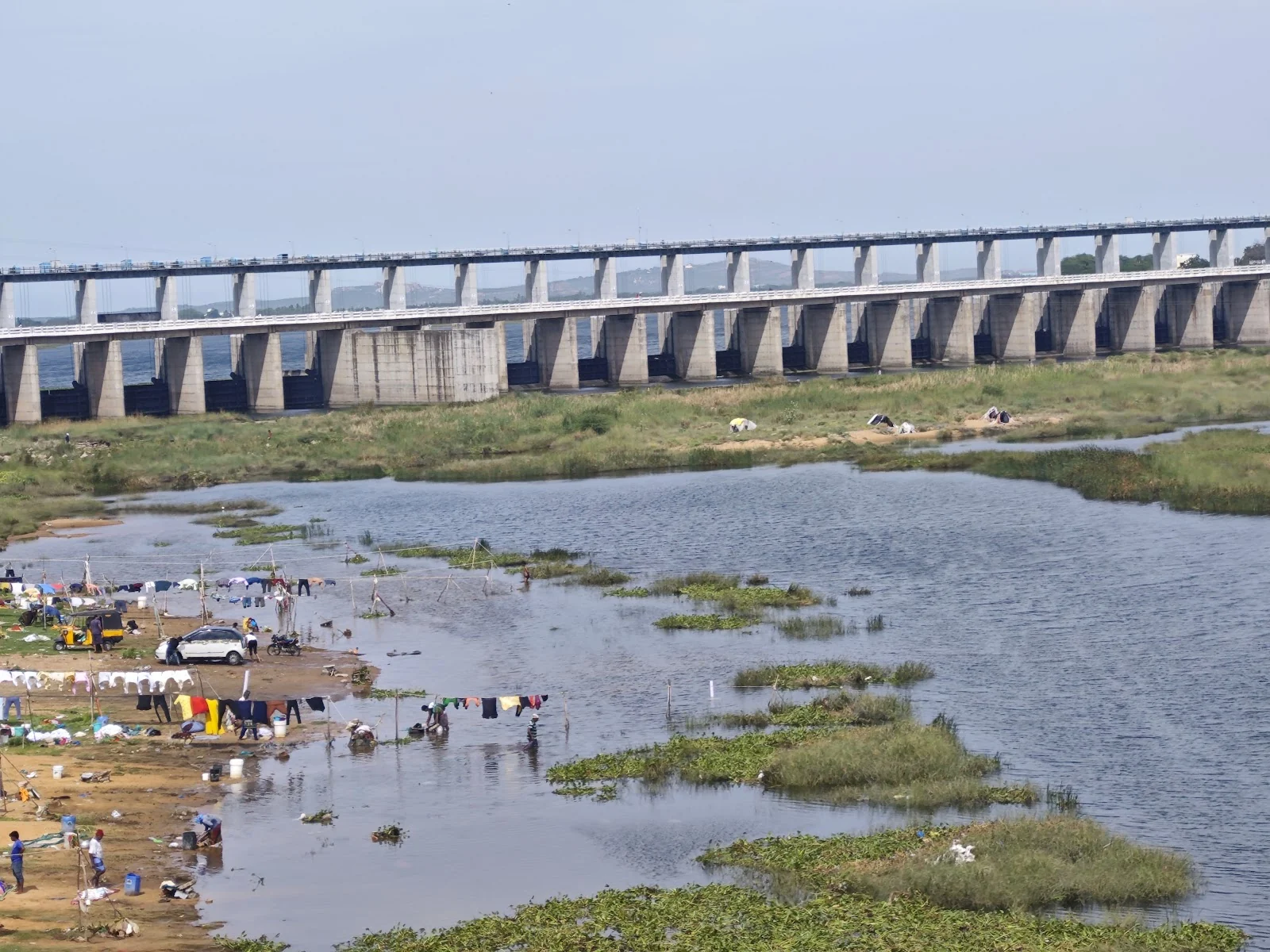 Nellore gallery 5