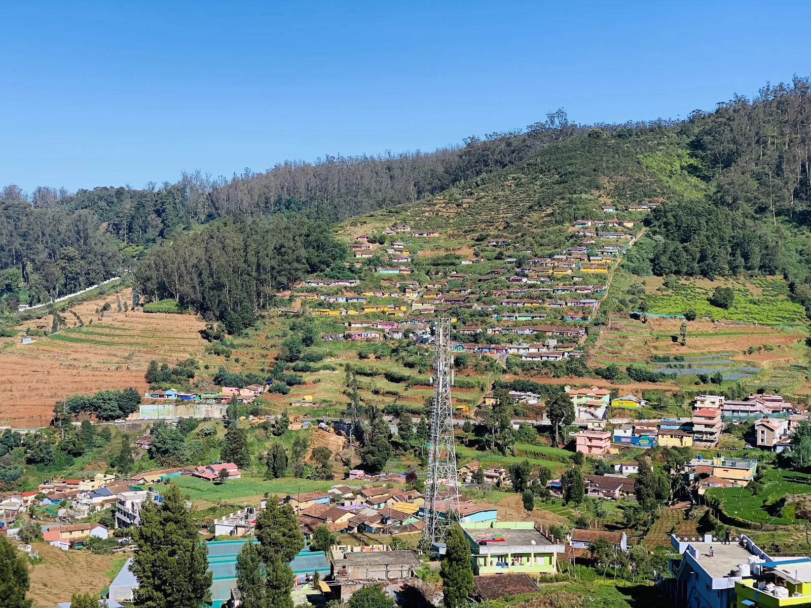 Ooty gallery 6