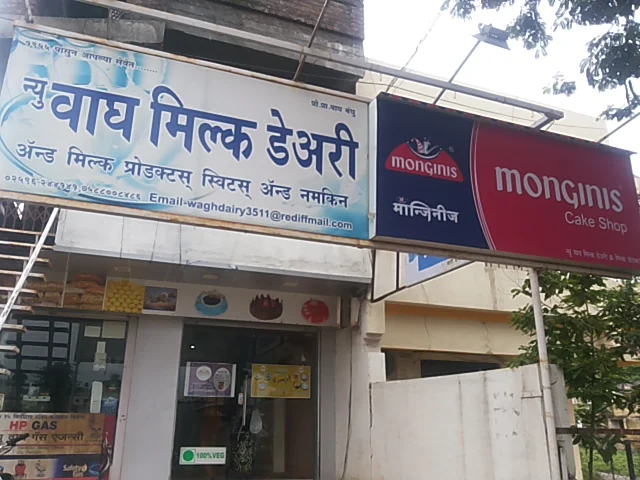 Pachora gallery 9