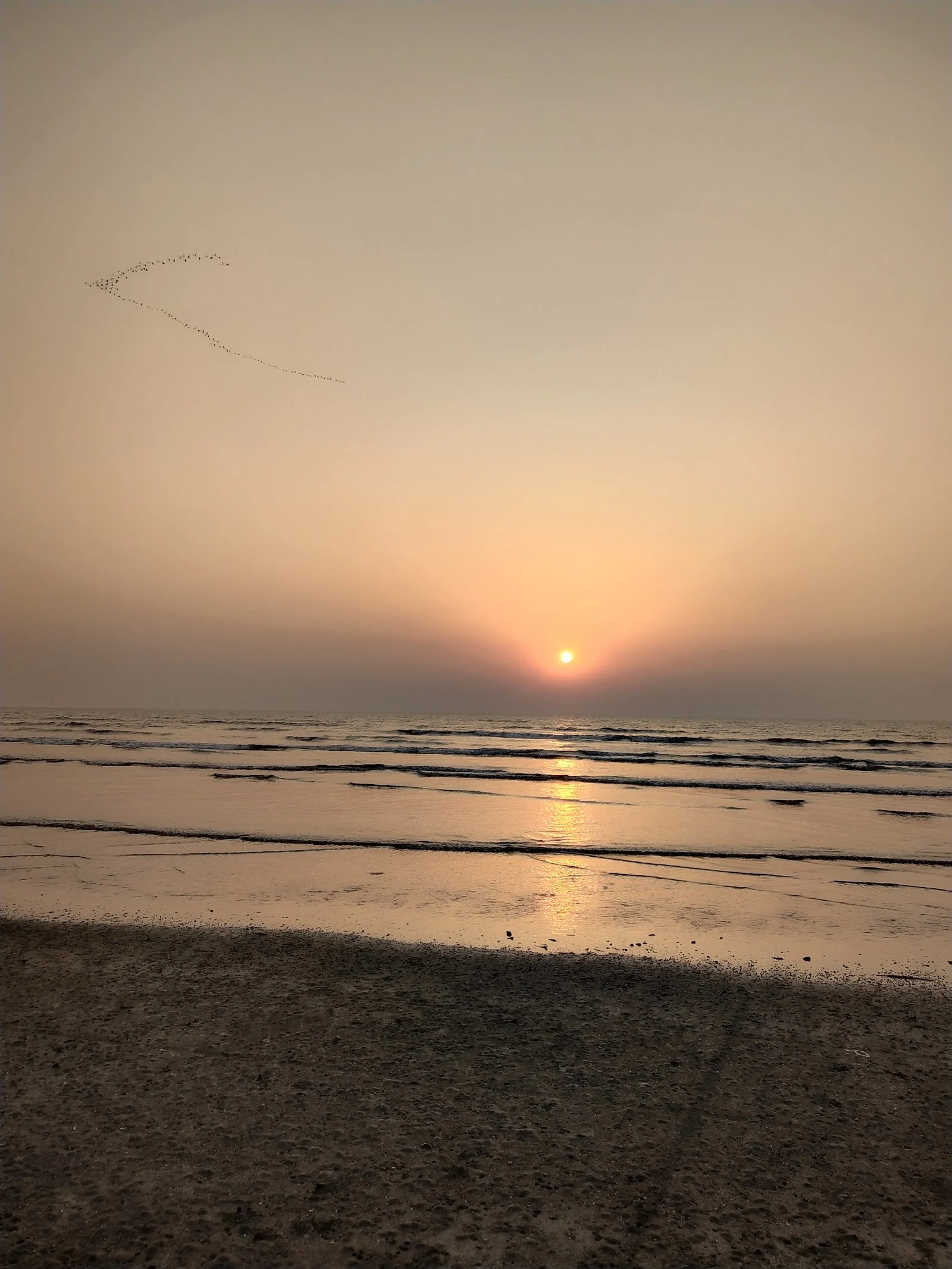 Palghar gallery 2