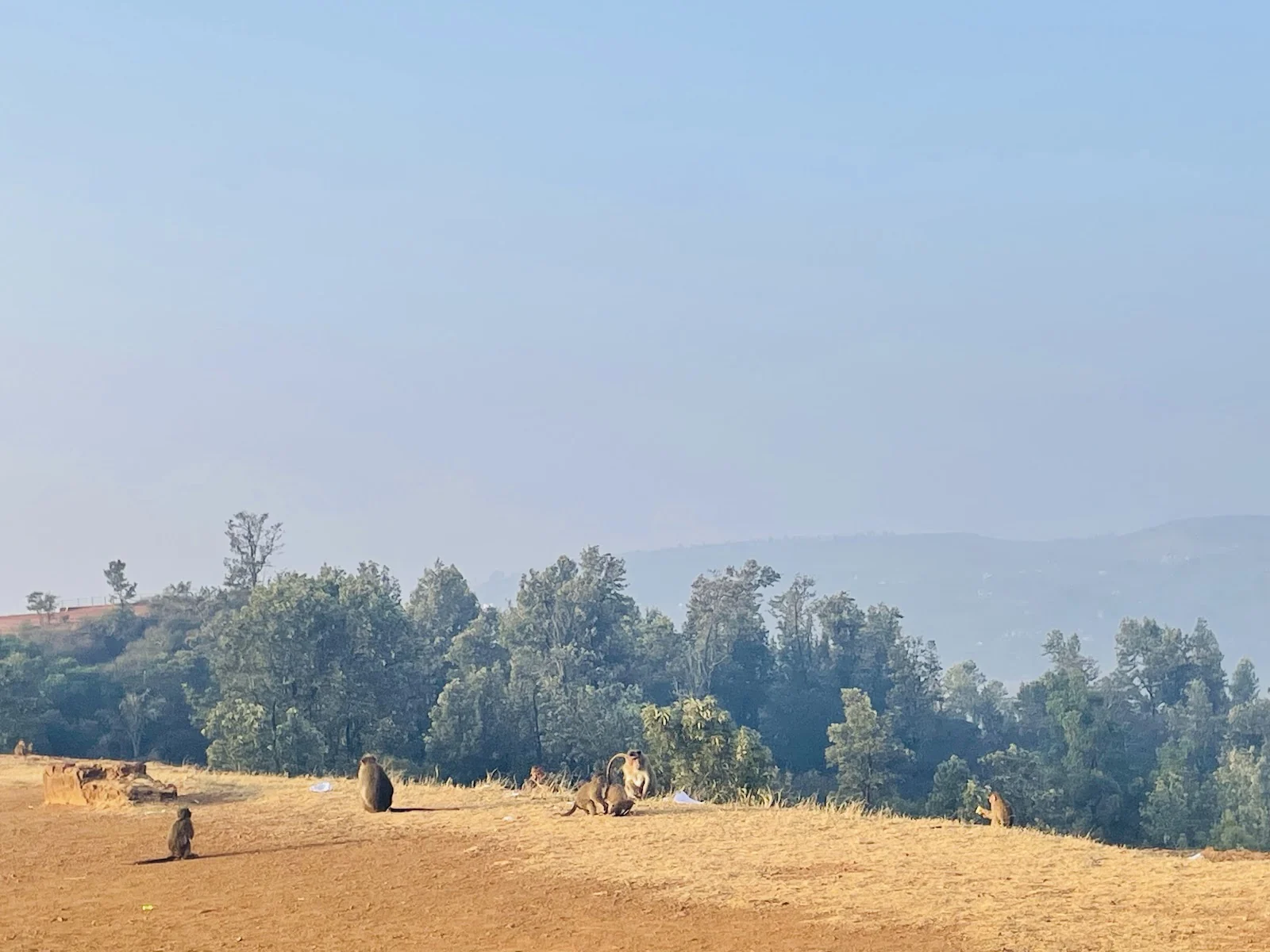 Panchgani gallery 2