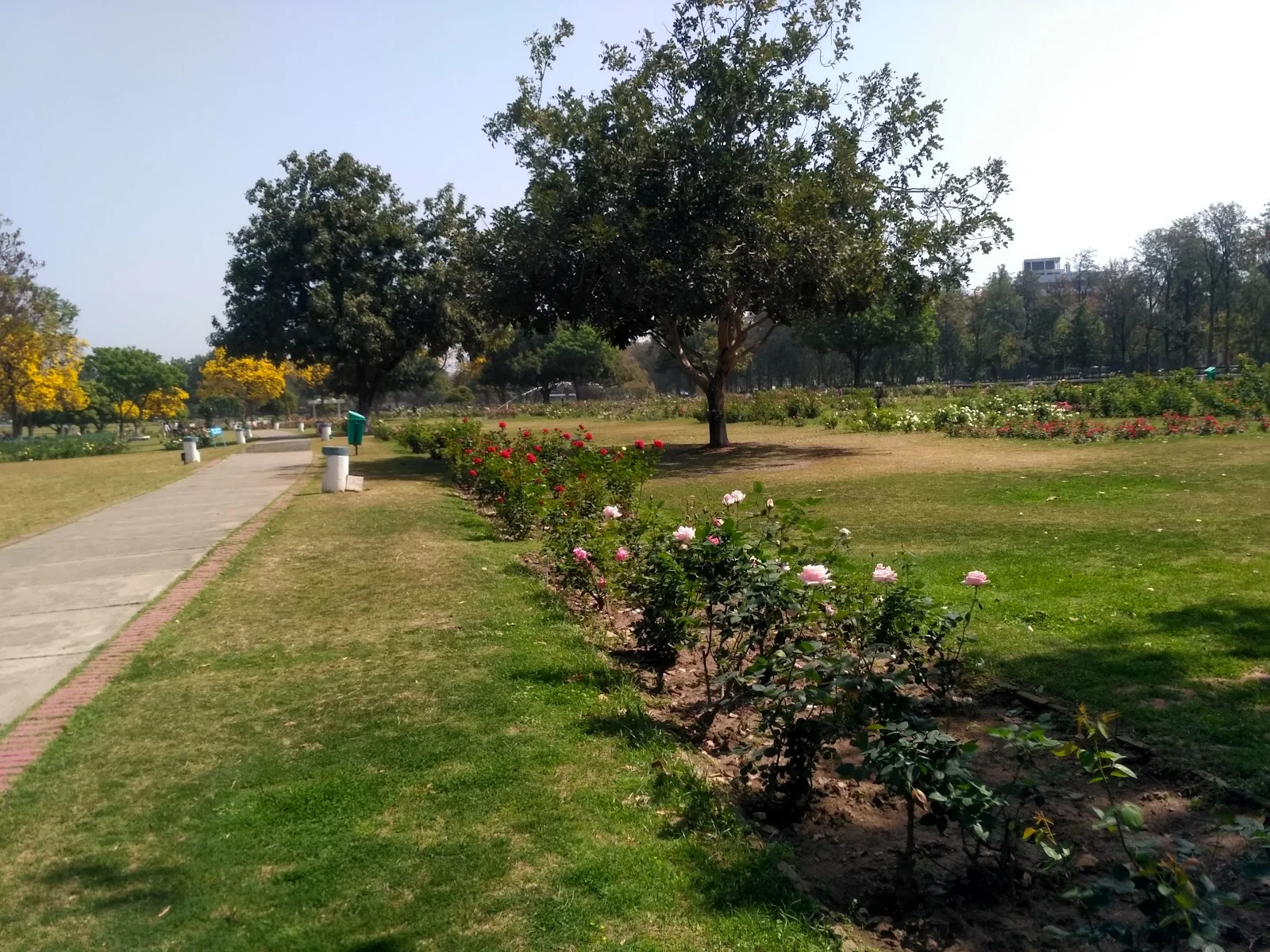 Panchkula gallery 5